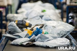 Сотрудники Пермской таможни изъяли данные посылки и передали их на экспертизу