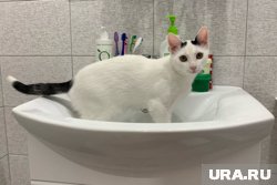 Горячая вода должна появиться у курганцев после 15 сентября