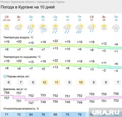 В Кургане будет тепло, но сыро