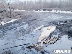 Специалисты ведомства взяли пробы воды на реке Анти-Паетаяха (архивное фото)