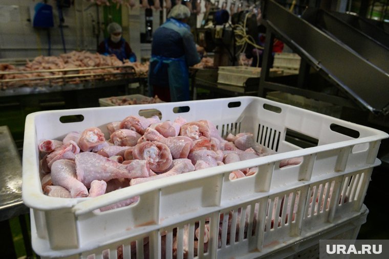 Бактерии были обнаружены в продукции торговой марки «Петелинка»