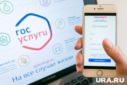 Мошенники продолжают попытки получения незаконного доступа к «Госуслугам»