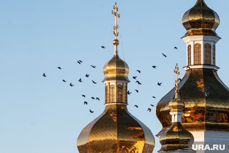 В ХМАО впервые в этом году замечены чибисы