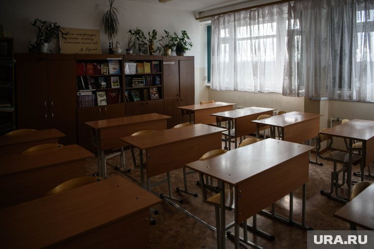 В учебном заведении проходит проверка