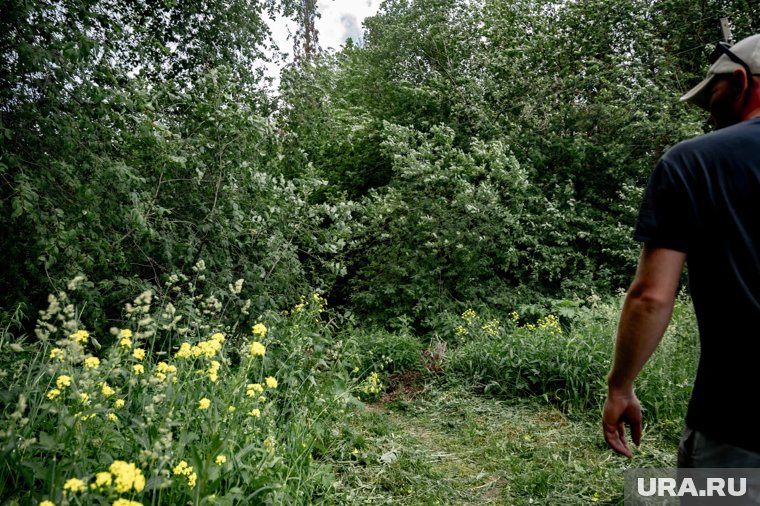 Мужчина заблудился в лесу 20 сентября