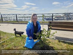 Высадка саженцев в Салехарде. Собачка Леля помогает