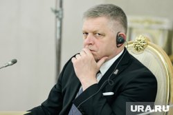 По словам Фицо, ЕС часто оказывается неспособен адекватно реагировать на изменения
