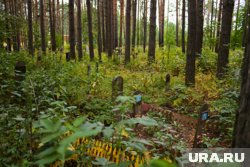 Захоронение домашних животных нарушает законодательство