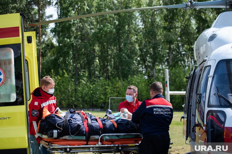 Жители ХМАО попали в больницу из-за ДТП с диким зверем