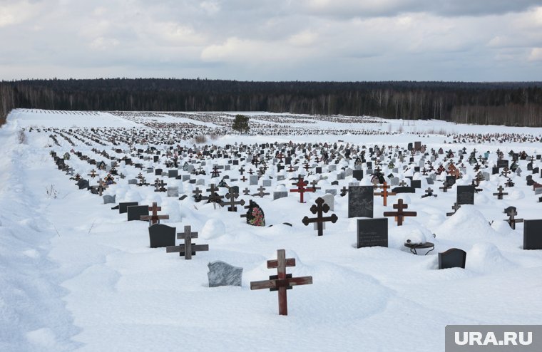 Северное кладбище занимает сотни гектаров