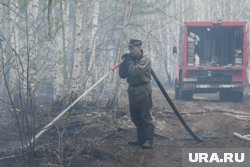 Количество очагов лесных пожаров в ЯНАО за сутки увеличилось в три раза