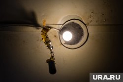 Насекомые стали настоящим бедствием для жильцов дома на Карбышева