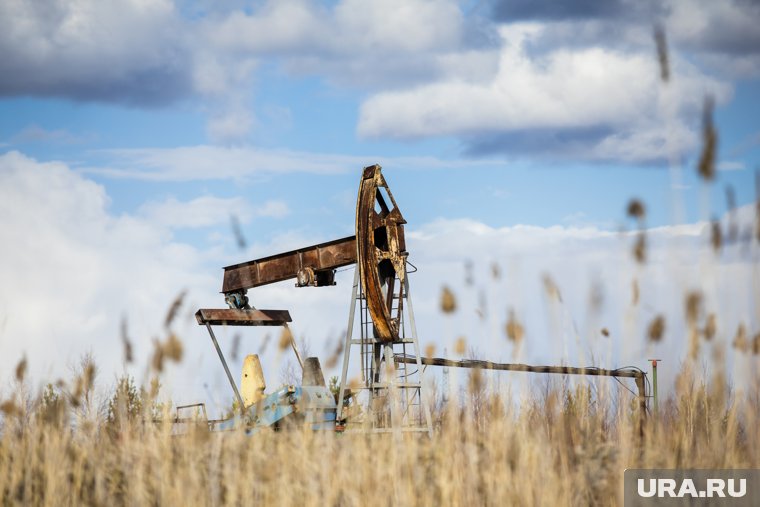 Наварро призвал Индию пересмотреть закупки нефти России ради партнерства с США