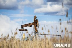 Наварро призвал Индию пересмотреть закупки нефти России ради партнерства с США