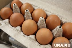Сургутяне решили с помощью яиц бороться с дорожниками, работающими ночью