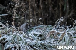 Похолодание ожидается 13 и 14 октября