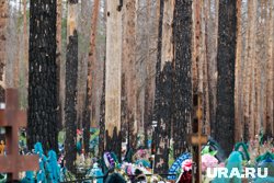 История кладбища в Чистопрудном вызывает споры у населения