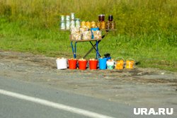 В ХМАО продают консервированные грибы, которые могут быть заражены ботулизмом 