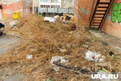 Администрация активно реагирует на запросы тюменцев 