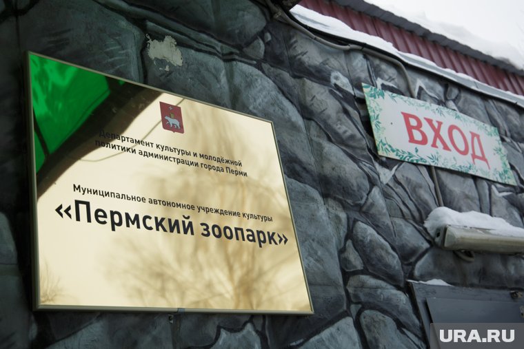 Они будут жить в комплексе «Африканская саванна», который предназначен для содержания теплолюбивых животных