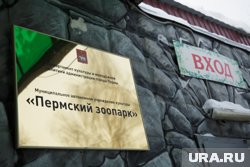 Они будут жить в комплексе «Африканская саванна», который предназначен для содержания теплолюбивых животных