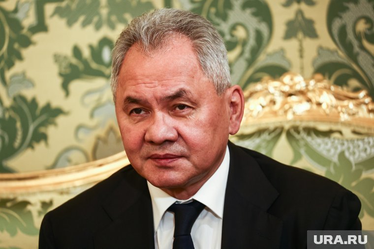 Шойгу прилетел в КНДР