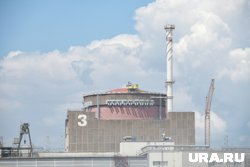Глава «Росатома» допустил переговоры с США по топливу на Запорожской АЭС