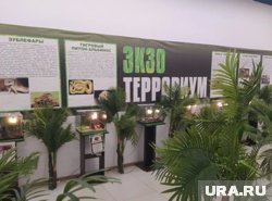 Выставку пауков и ящериц бизнесмен проводил без лицензии