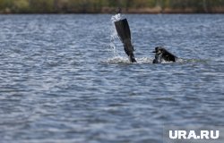 Его искали водолазы Пермской городской службы спасения 