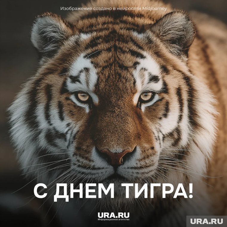 Шансы на выживание диких тигров в целом растут благодаря глобальным усилиям по сохранению