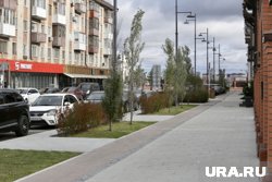 Улица Тюмени может быть названа именем Леонида Бриллианта