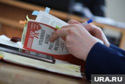 У Сарашвили арестовали технику и дорогое авто
