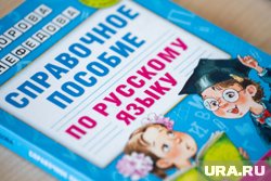 В правительство Курганской области требуется специалист по русскому языку