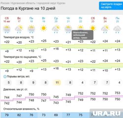 В Кургане самым теплым днем станет вторник, температура поднимется до 25 градусов