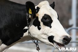 Нарушения должны быть устранены до 16 июня