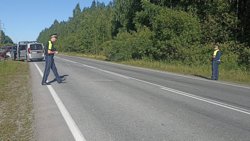 В результате аварии погибла 55-летняя женщина