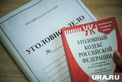 После массовой атаки ВСУ на Москву и область возбуждено уголовное дело