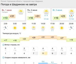 Во второй половине дня в Шадринске возможен небольшой дождь