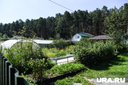 В Сургуте дачные районы неподалеку от реки Почекуйка, в сторону Лянтора, Белого яра самые востребованные