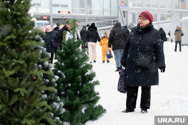 В центре Перми откроется три площадки по продаже новогодних елей