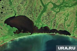 Озеро расположено примерно в восьми километрах на юго-западе от поселка Кузнечное