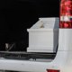 Тело погибшего в Тюмени африканского студента вернут на родину