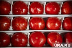 Часть продукции уничтожили