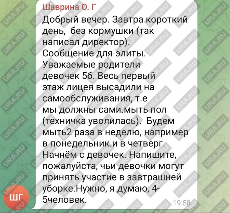 В родительском чате Лесниковского лицея сообщили о переводе этажа на «самообслуживание» после увольнения уборщицы