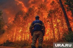На территории области было высажено более 180 тысяч гектаров леса