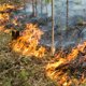 Нулевая видимость и массовые аварии: к чему привел ландшафтный пожар в Крыму — все, что известно к этому часу