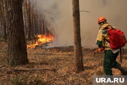 Мужчина пытался самостоятельно потушить начавшийся лесной пожар 