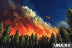 Территорию заповедника тушат с помощью сброшенной воды с вертолета
