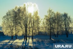 Для школьников Тюмени актированных дней не объявлено