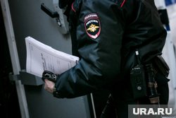 Следователи и полиция задержали жителя Подольска, призывавшего к терактам